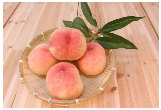 肌に良い果物、ぜひ意識して食べましょう