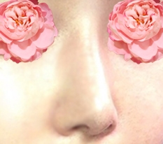 完璧な鼻の修正手術