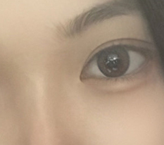 華やかで洗練された目に